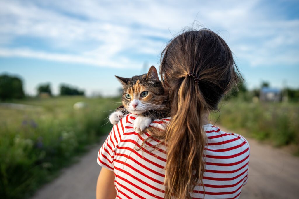 childless cat lady